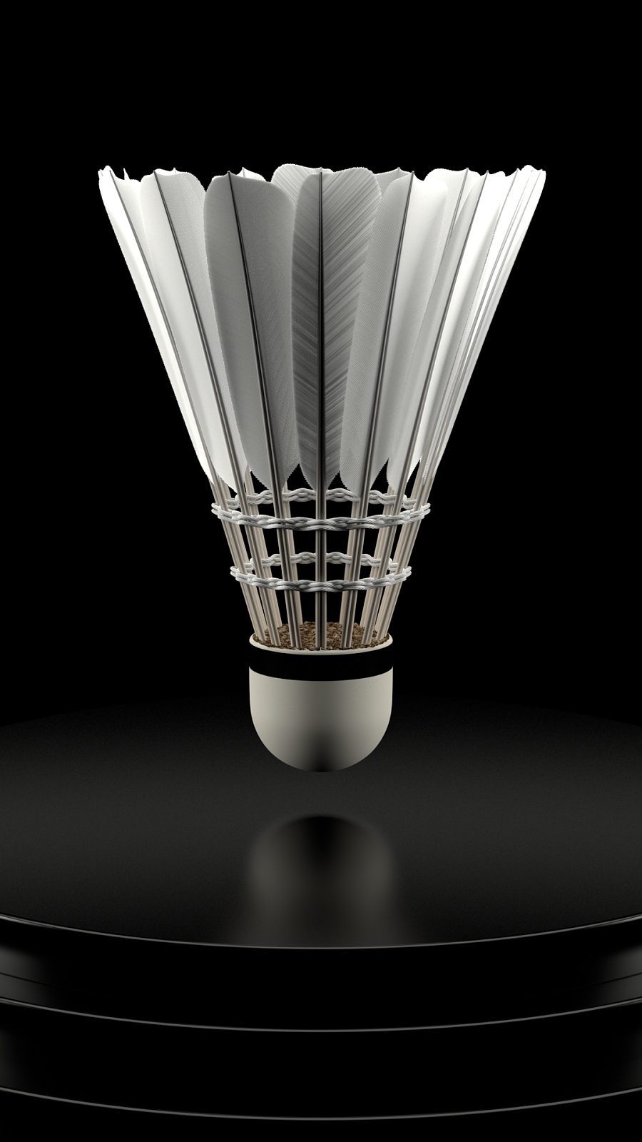 选手们进步 选手们进步