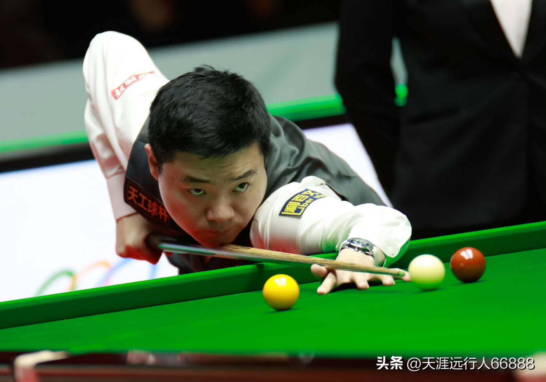 毛球注入了 毛球注入了