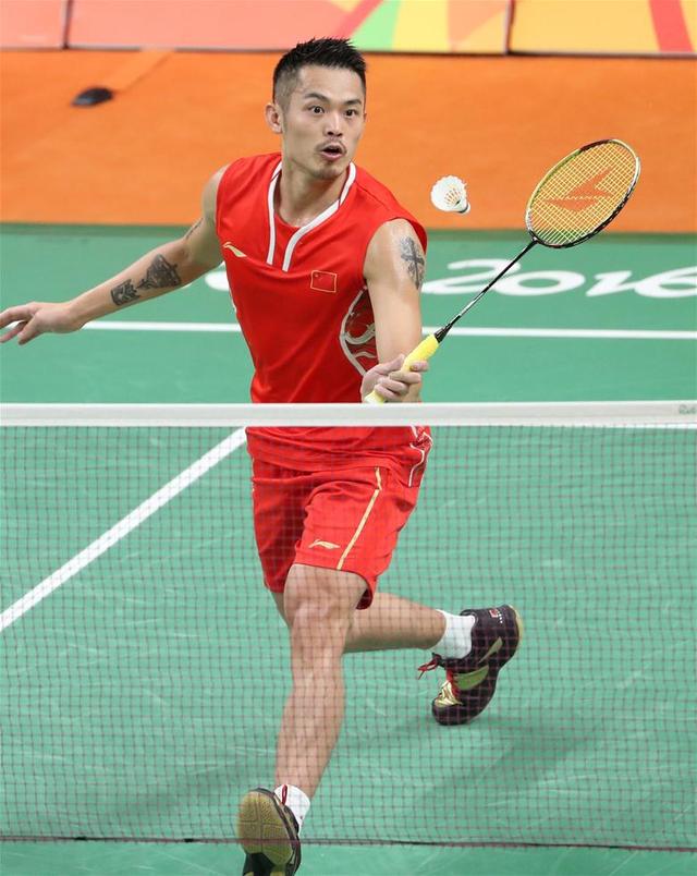 逐步建立起 逐步建立起